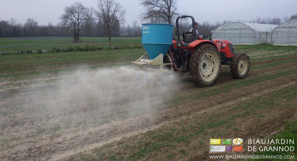 photo de Matthieu au tracteur avec l'épandeur à poudre de roche chaulant les planches permanentes près des tunnels
