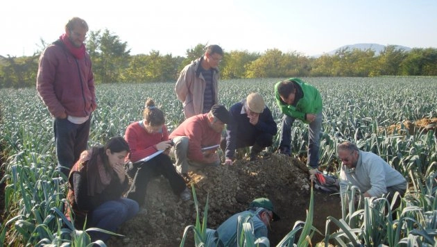 vue de techniciens et maraîchers avec un agronome dans une coupe de planche de poireau