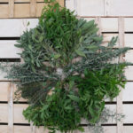 bouquets de sauge, thym, romarin, verveine rangés en rond sur une cagette bois