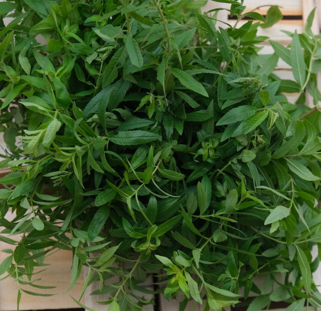 photo de bouquets de verveine sur cagette bois