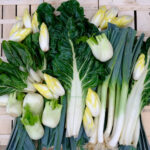 photo de cote de bette, fenouil, endive et poireau sur cagette bois