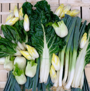 photo de cote de bette, fenouil, endive et poireau sur cagette bois