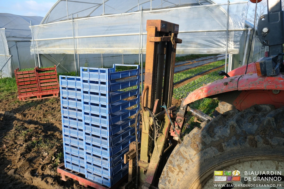 photo du mât lève-palette apportant les piles de caisses de plants en motte au jardin