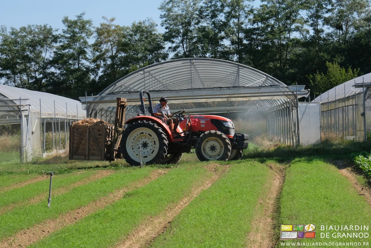 photo de Matthieu transportant avec le mât lève palette un palox d'oignon juste récolté
