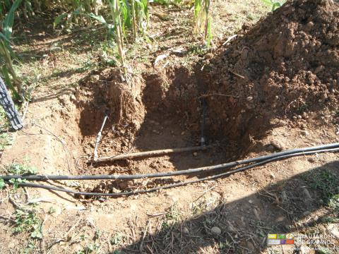 photo de coupe de sol montrant les gaines d'arrosage enterrées sous les plantes