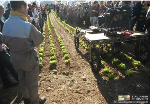 photo de la bineuse à pédale en démonstration en haut d'une planche de salade
