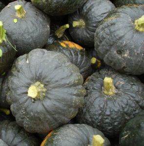 photo de potimarons verts