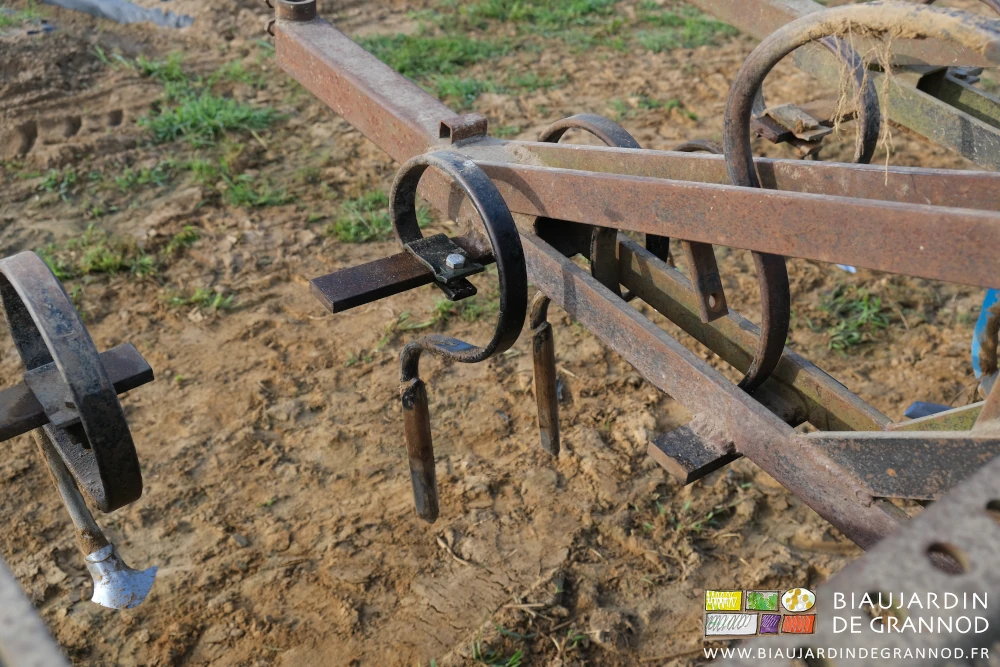 photo de dent droite avec soc fin en doigt droit