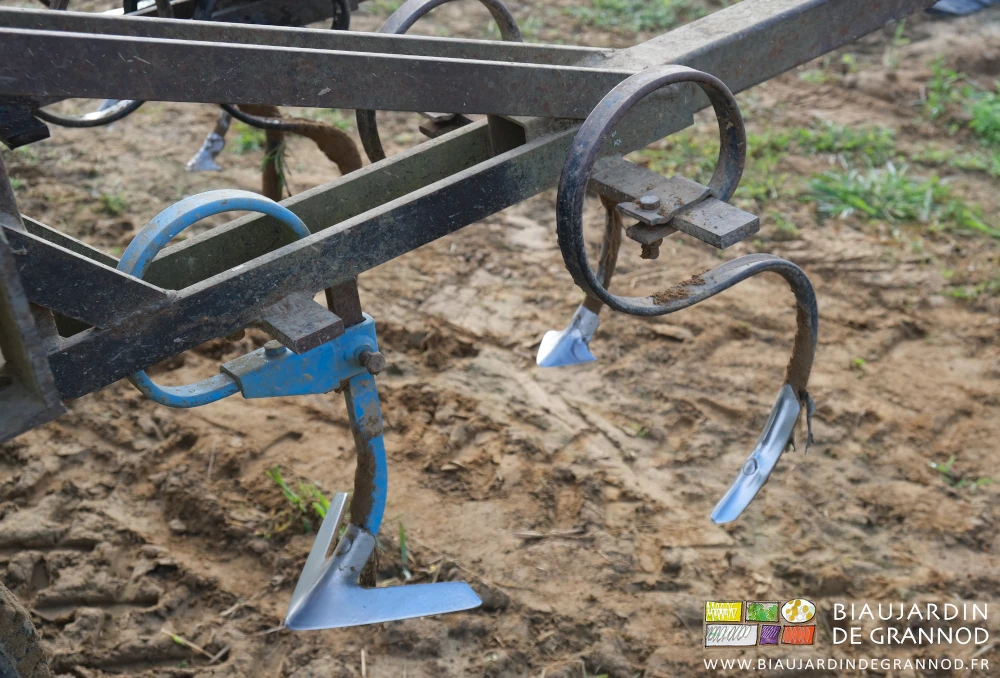 photo d'élément bineur avec 3 dents et socs différents