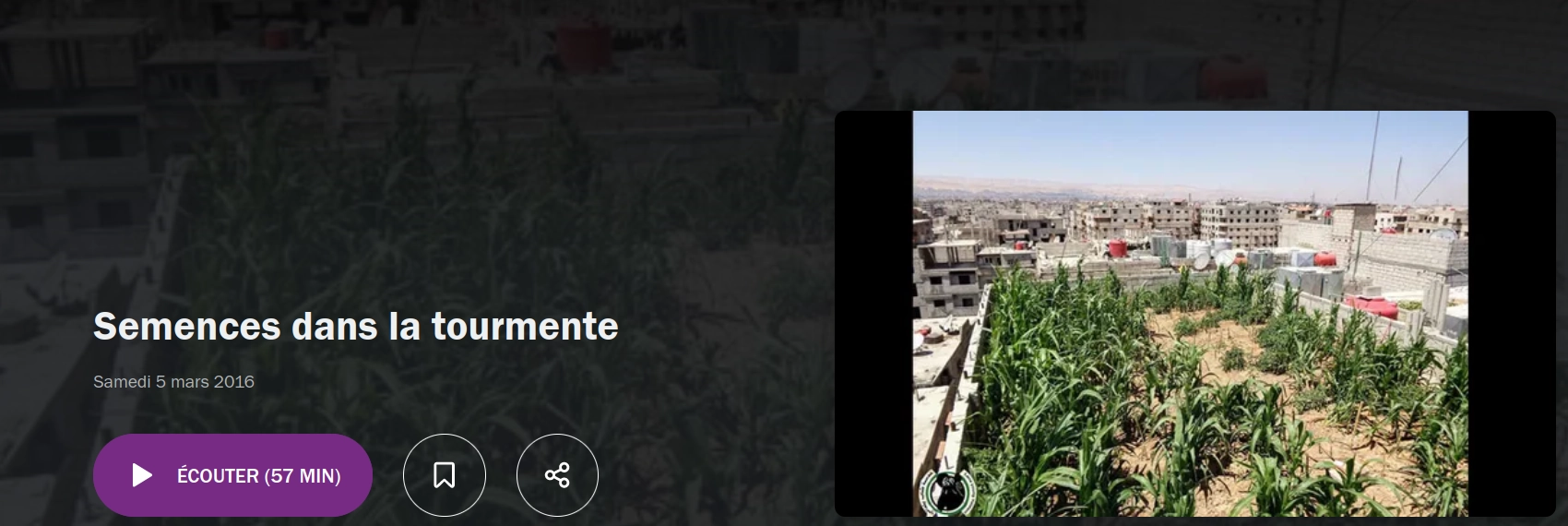 copie d'écran de France Culture les semences dans la tourmente en Syrie