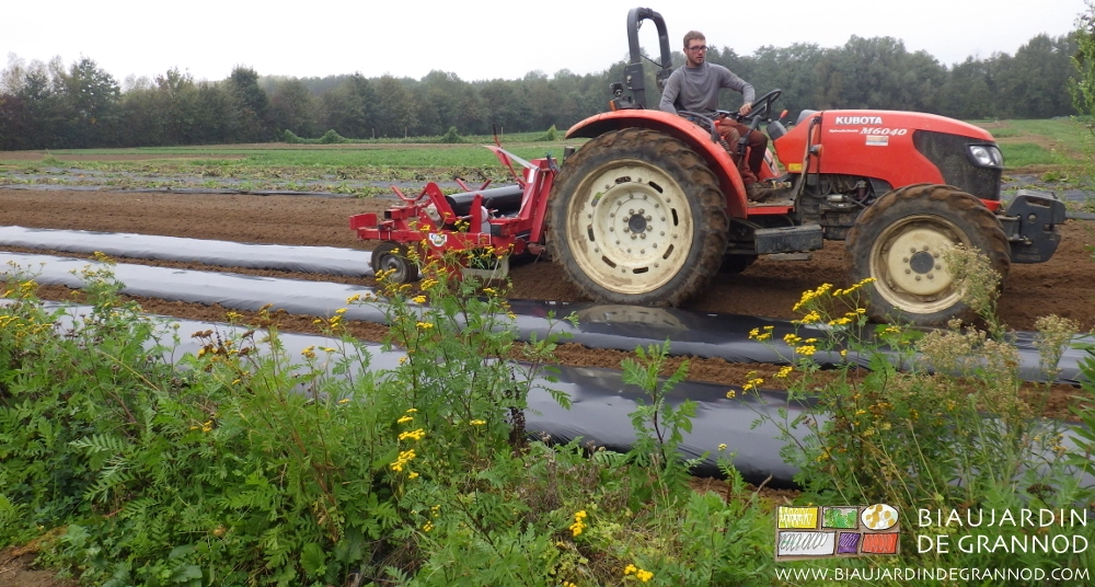photo de Matthieu au tracteur filmant des planches pour l’ail à côté d'une bande fleurie
