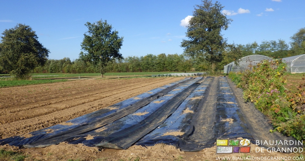 photo de voisinage méthode corse et bandes fleuries permanentes.
