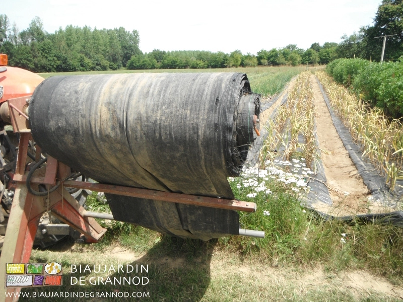 photo de l'enroulage d'une toile dans une culture
