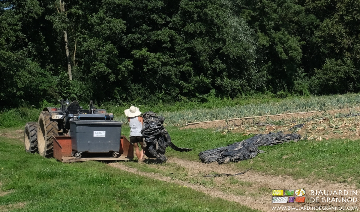 photo du remplissage du bac déchets recyclages