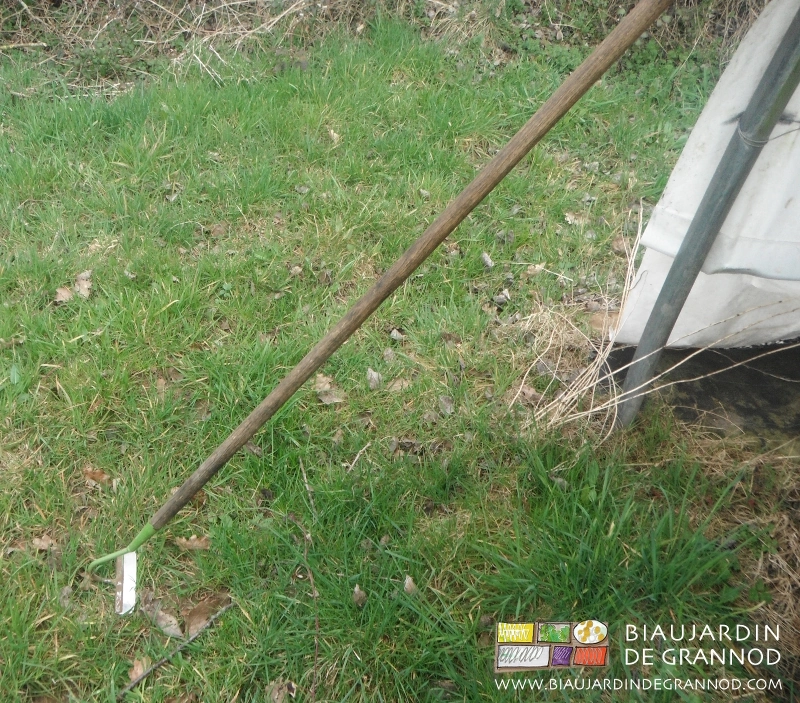 photo de rapette emmanchée pour biner sur le rang des cultures repiquées