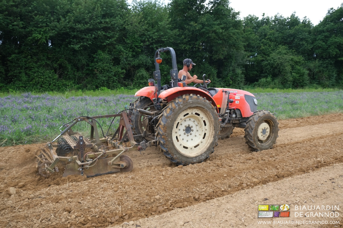 photo de Matthieu au tracteur travaillant au vibroplanche