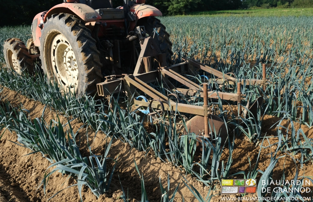 photo de la barre avec les outils de buttage au travail dans le carré de poireau