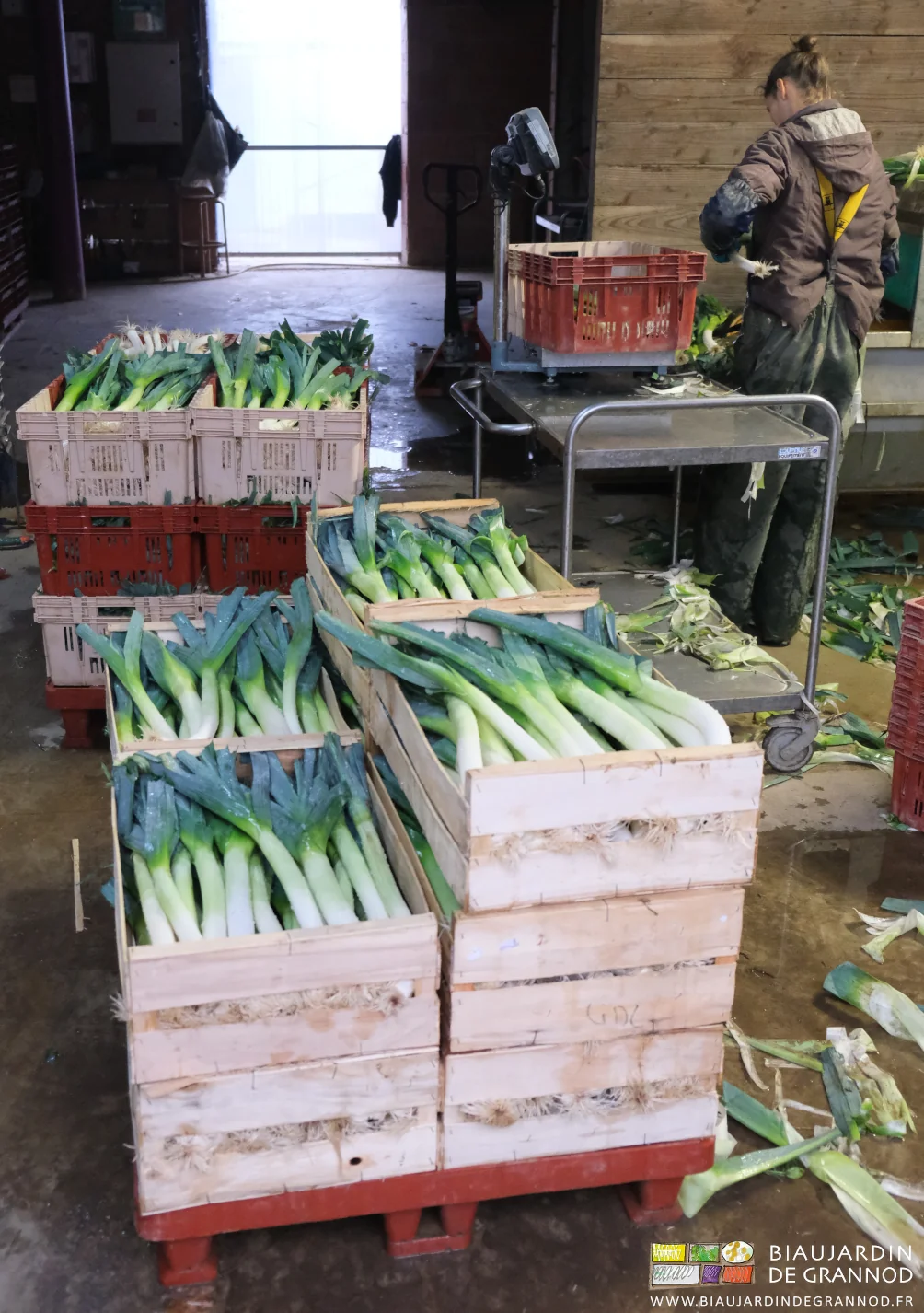 photo de 2 palettes en cours : une en caisse bois, l'autre plastique