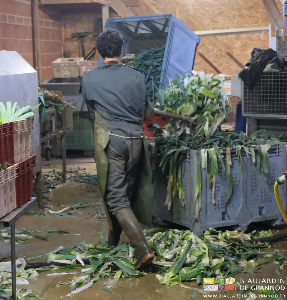 photo de Vivien qui ramasse les déchets et en remplit un palox