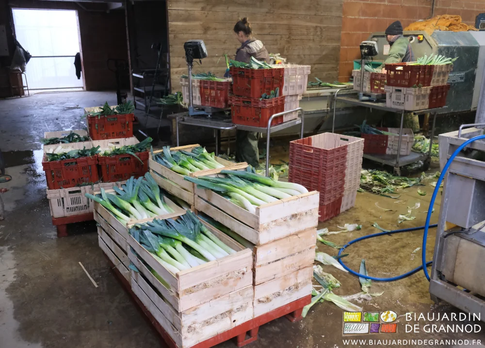 photo de deux travailleurs au fignolage manuel au tapis de sortie de laveuse