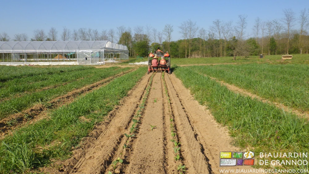 photo en début de printemps de plantation mécanique de motte pour bande fleurie