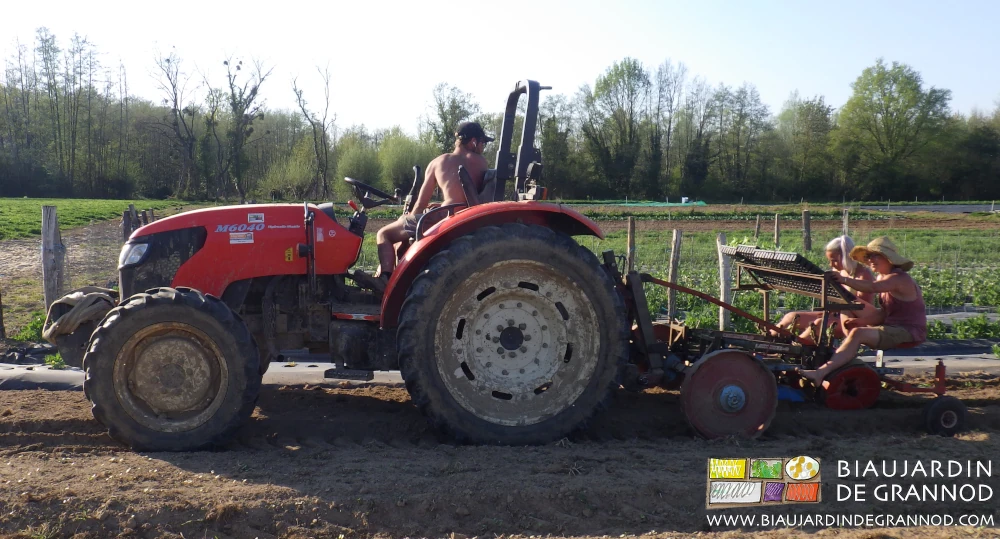 photo de l'équipe à la plantation mécanique des mottes pour bande fleurie