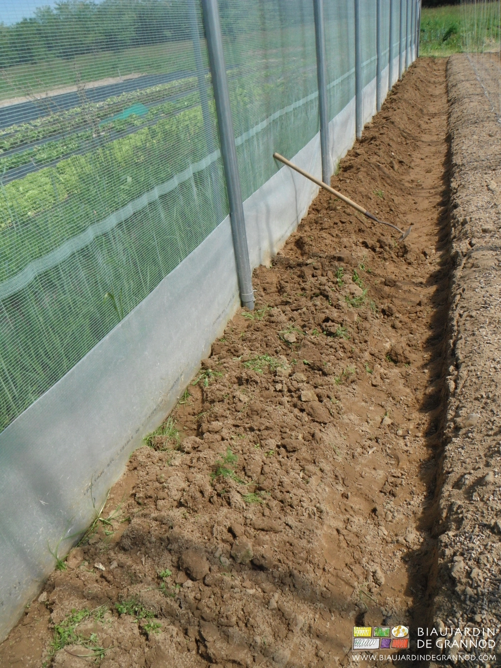 photo de préparation manuelle de bordure de tunnel au sarclot pour bande fleurie