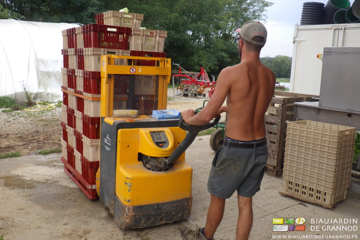 photo de Matthieu qui reprend avec le gerbeur une palette remontée du jardin par le mât lève palette