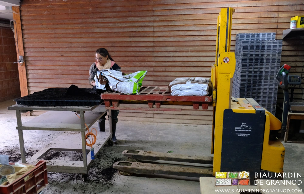 photo de quelques sacs de terreau maintenus à hauteur de table de travail en production de plants
