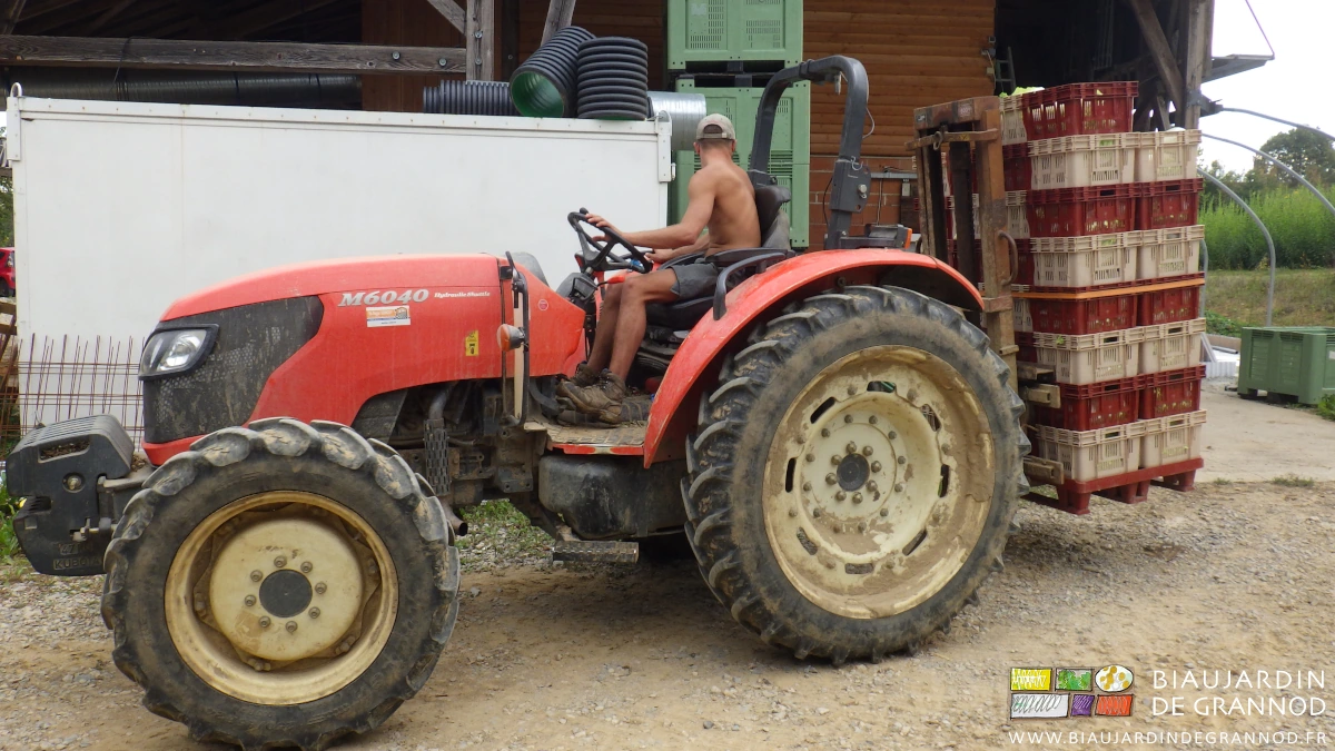 photo du tracteur dont le mât pose la palette de cagettes à l'entrée du bâtiment