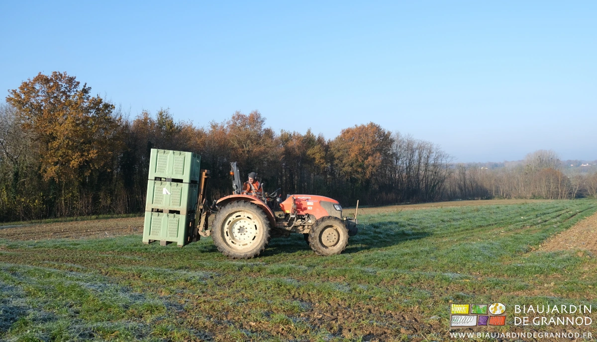 photo du transport à pied d’œuvre de 3 palox vides avant une récolte de poireau