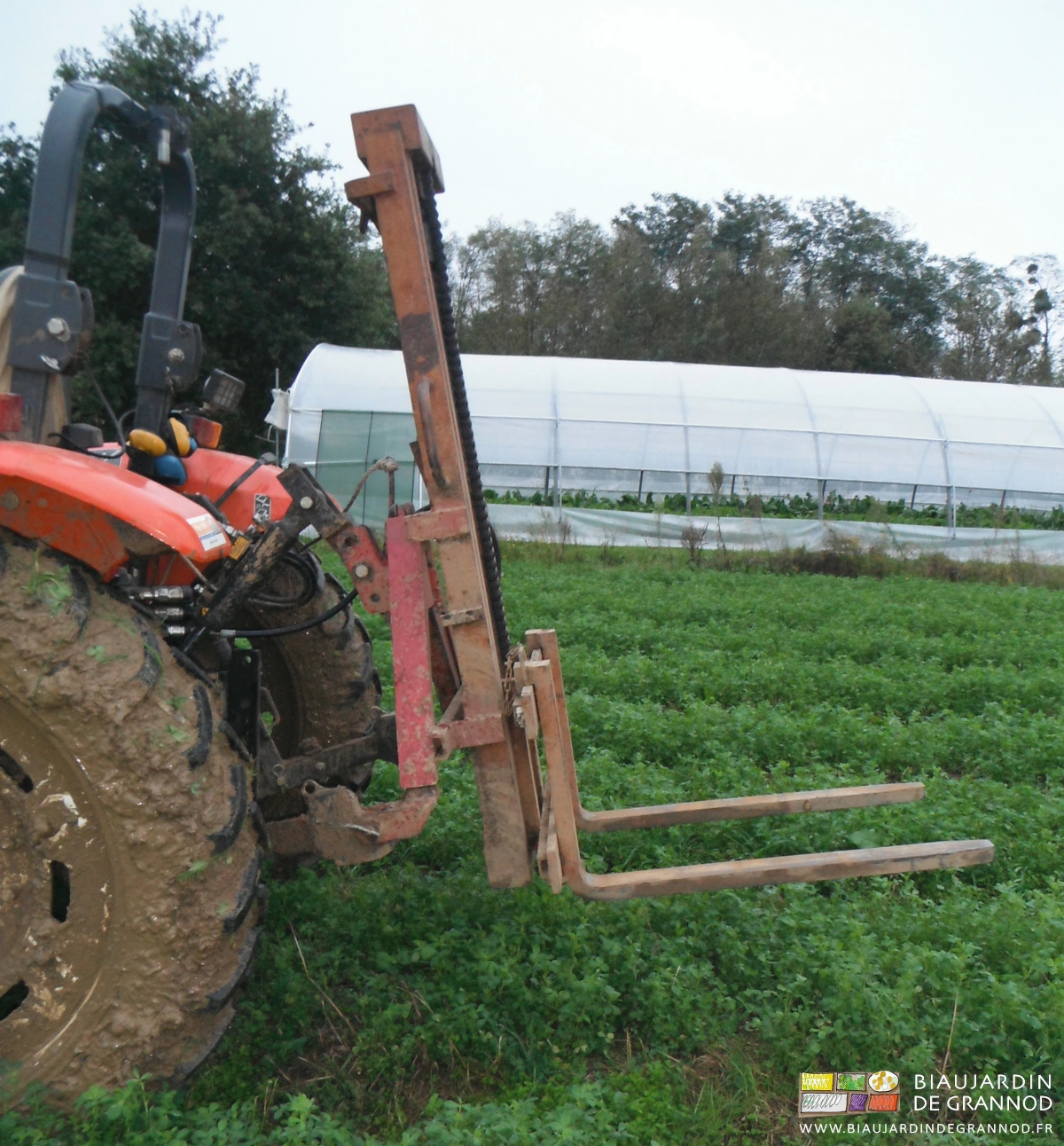 photo du mât lève palette attelé au tracteur par son triangle rapide sur fond d'engrais vert pluri-annuel