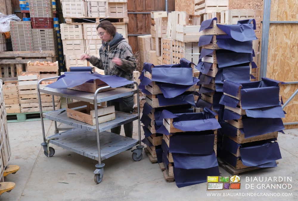 photo de Charline installée avec une table roulante pour préparer les cagettes