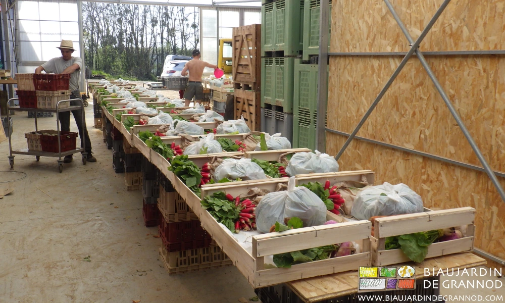 Les tables roulantes aident à la préparation confortable et rapide des paniers de nos abonnés