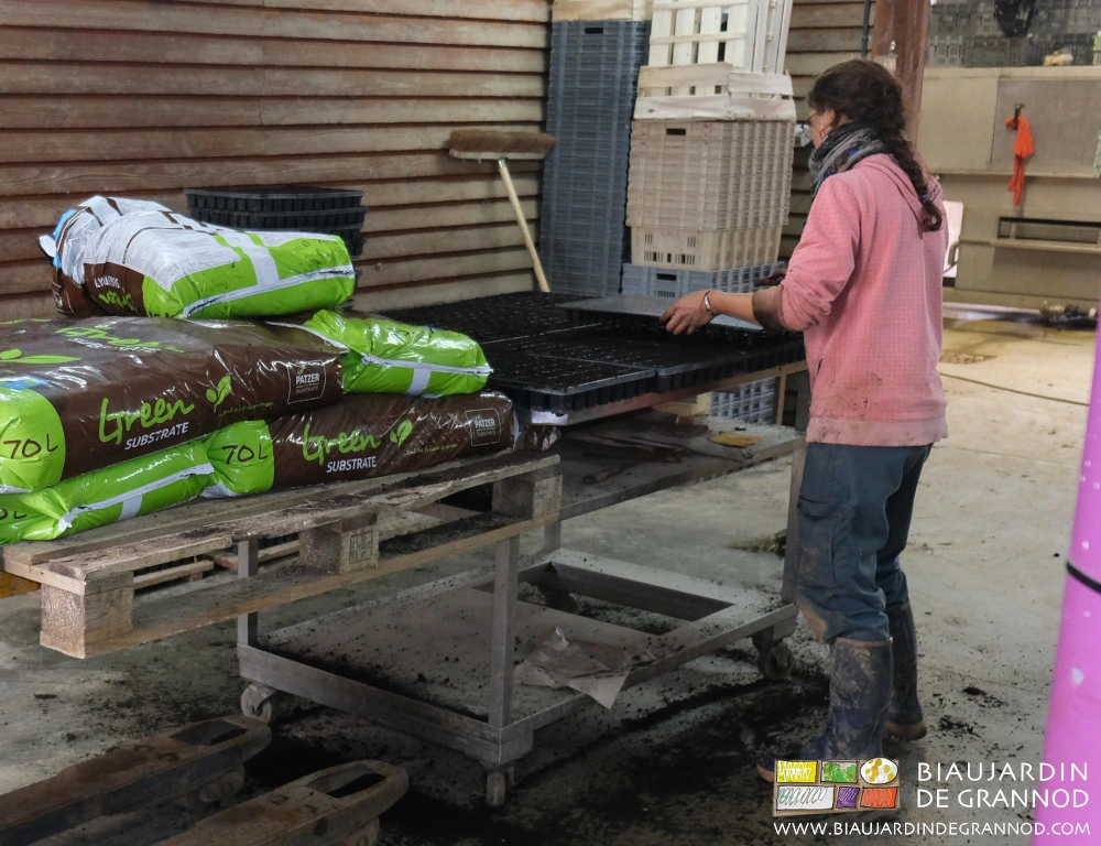 photo de Charline faisant les mottes sans se pencher et sans porter les sacs de terreau