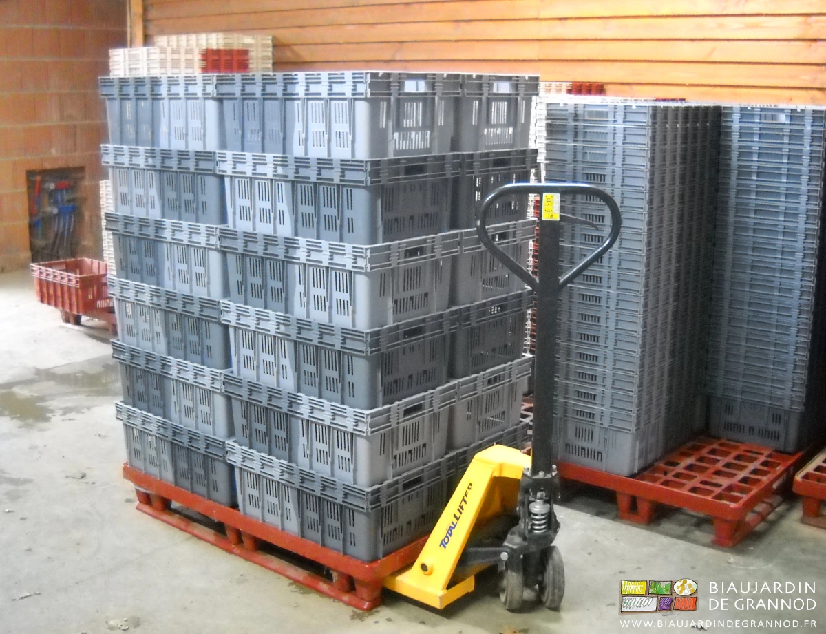 photo d'une palette de cagettes lavées et en cours de séchage déplacées avec le transpalette