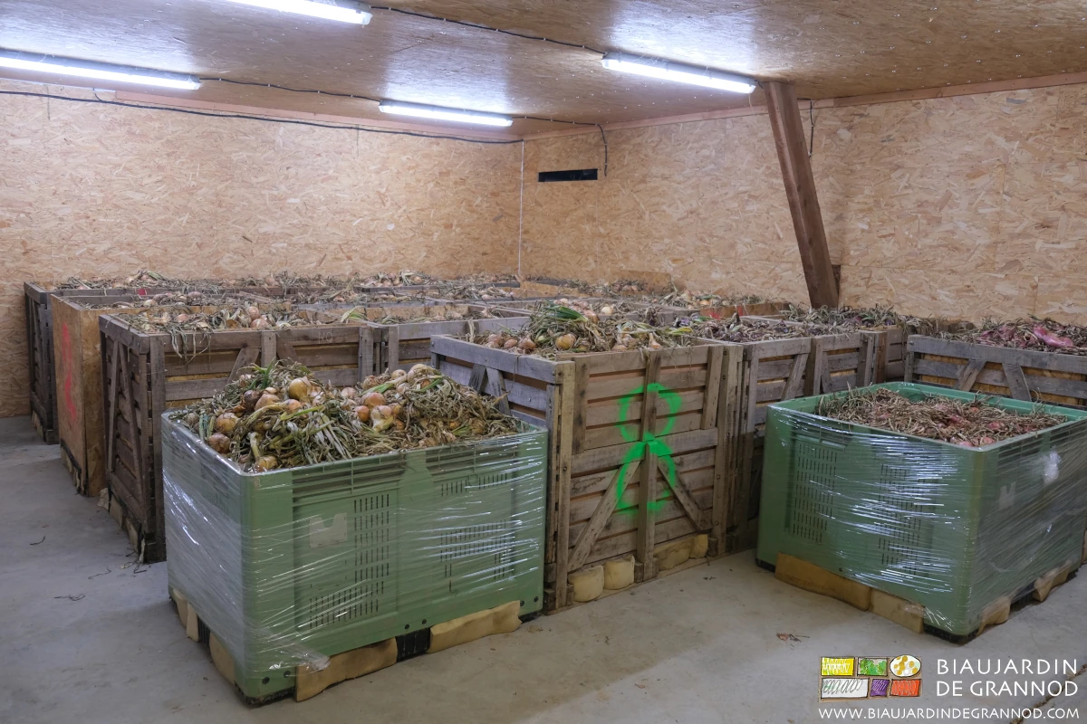 photo du local de séchage conservation de l'oignon autoconstruit en bois à l'étage