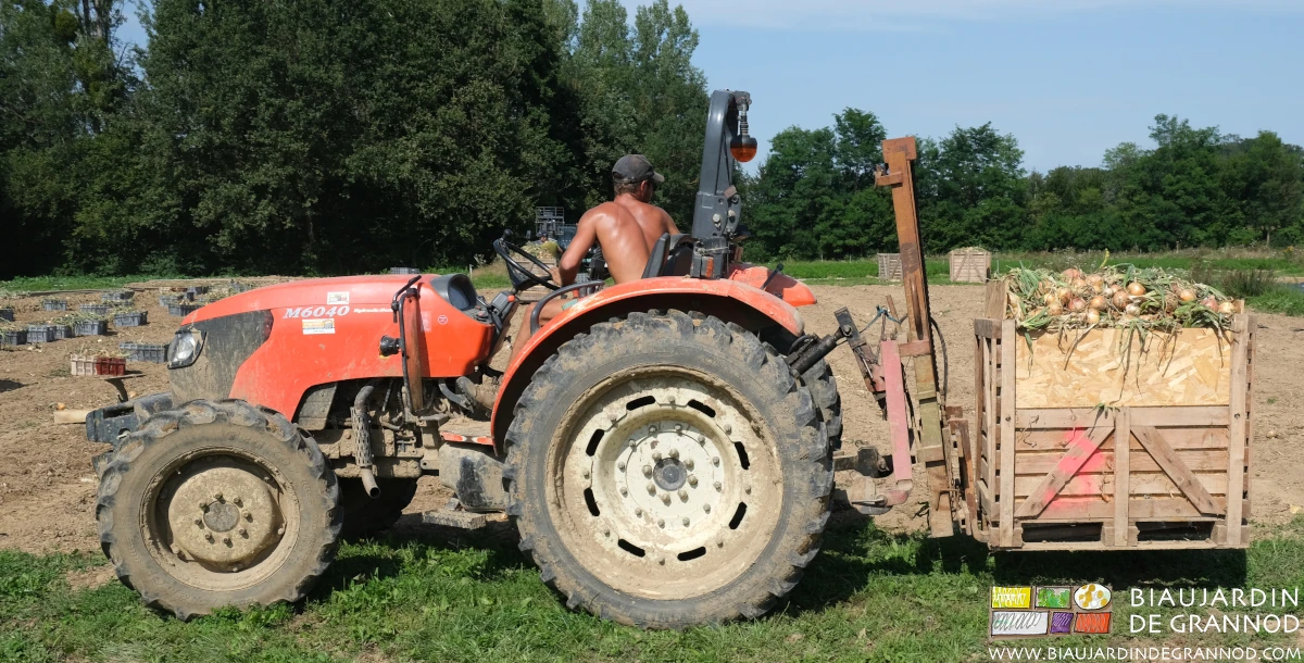photo de Matthieu qui prend un palox au mât lève palette du tracteur direction le bâtiment