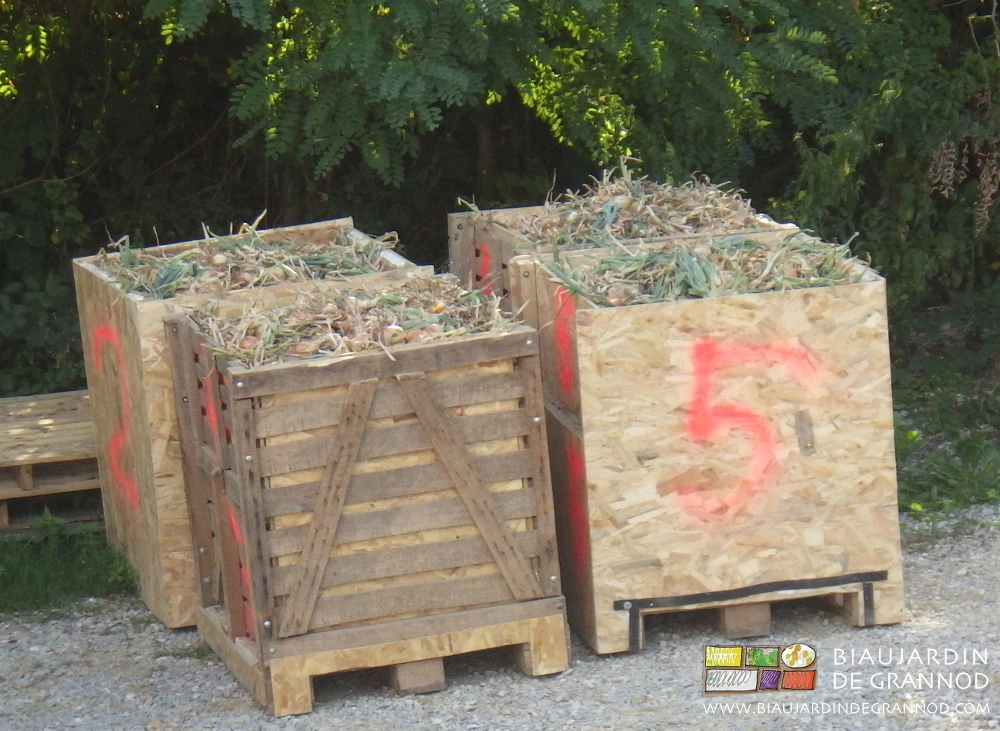 photo de palox dans la cour du bâtiment en attente de rangement