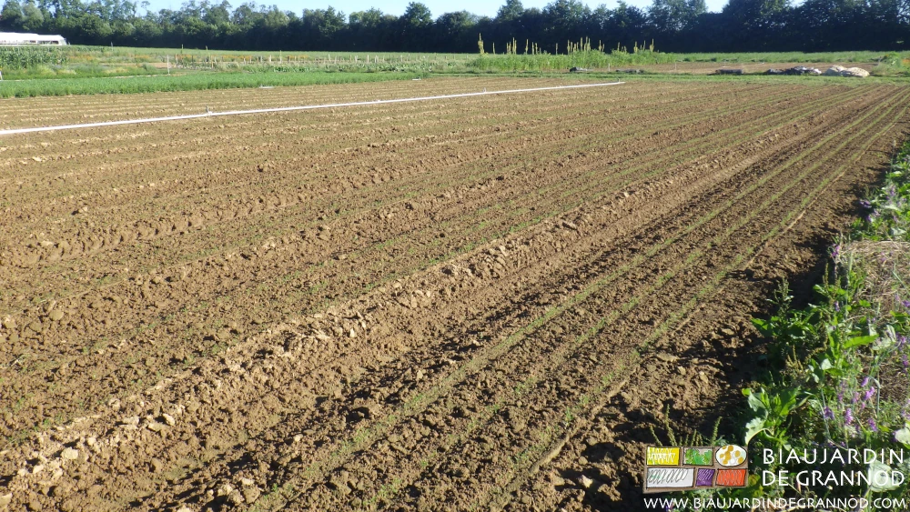 photo du résultat d'un passage supplémentaire de reprise après orage