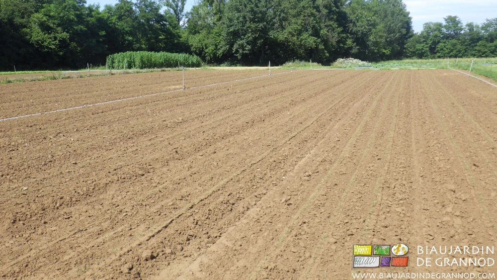 photo du premier binage démoli par un orage