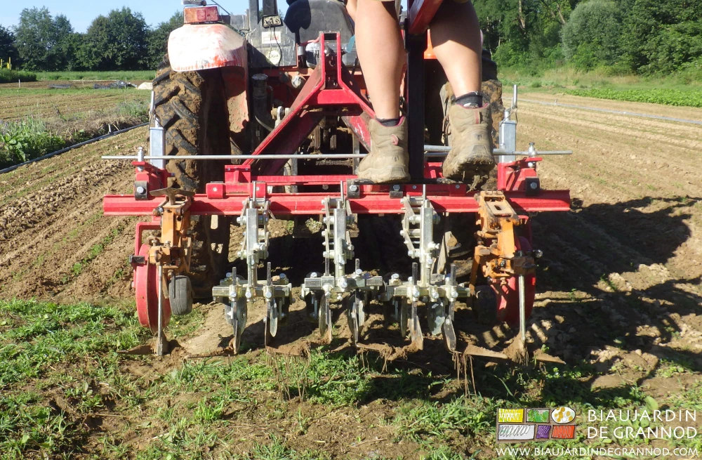photo de bineuse DUO équipée de dents, lames et disques