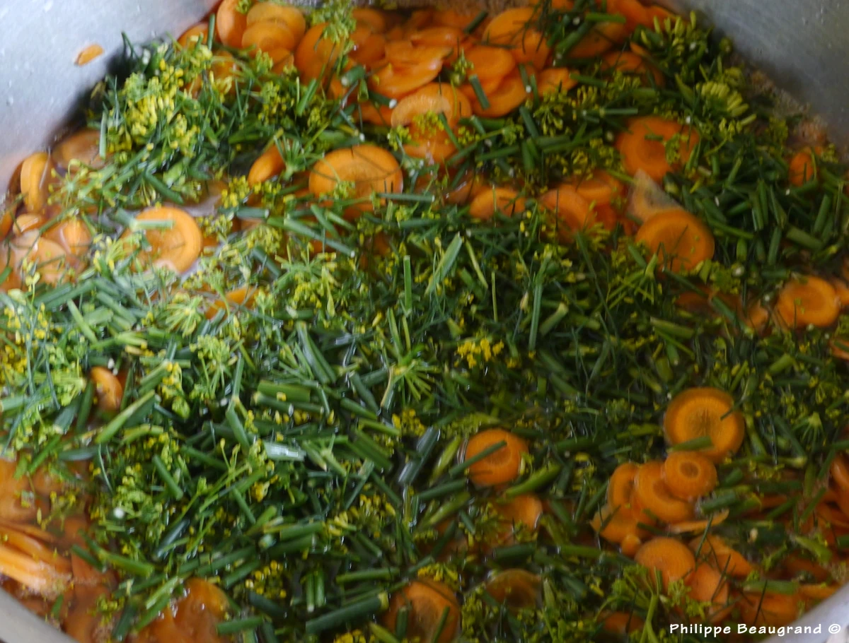 photo des ingrédients préparés pour velouté de carotte et fenouil