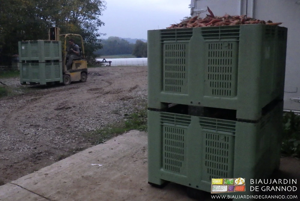 photo du vieux chariot élévateur qui empile 2 palox pour la chambre froide