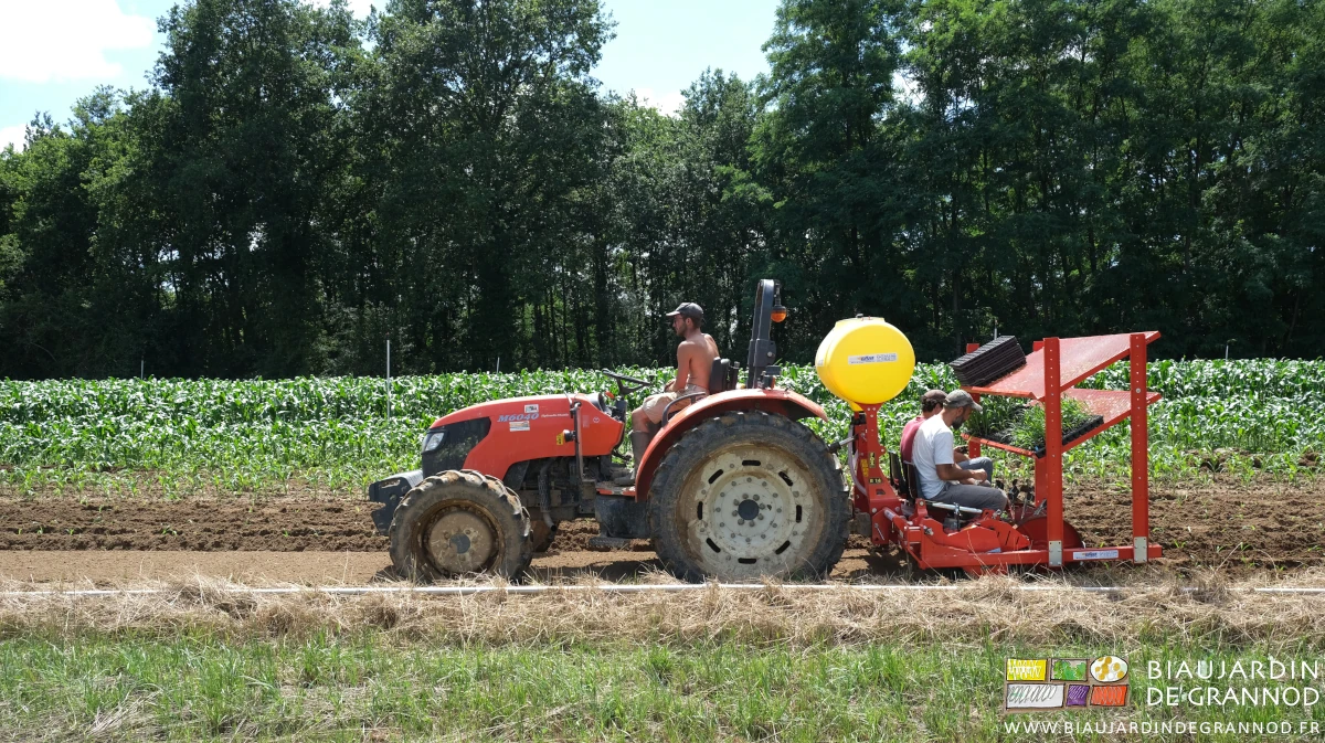 photo de l'équipe au travail en position plus ergonomique sur la nouvelle planteuse