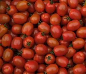 photo de tomate cerise en cagette bois