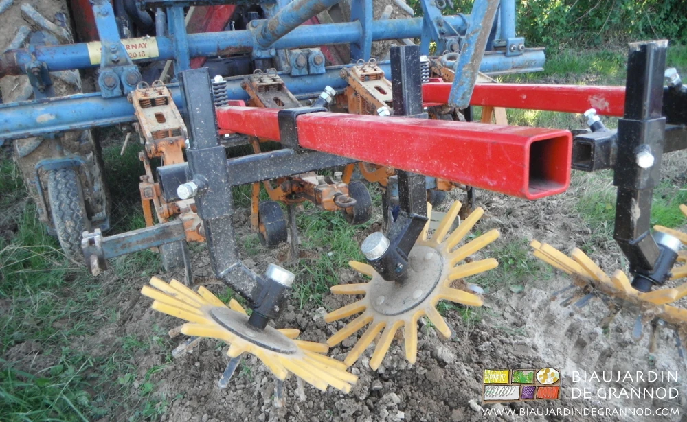 photo proche des doigts de binage souples qui binent sur le rang