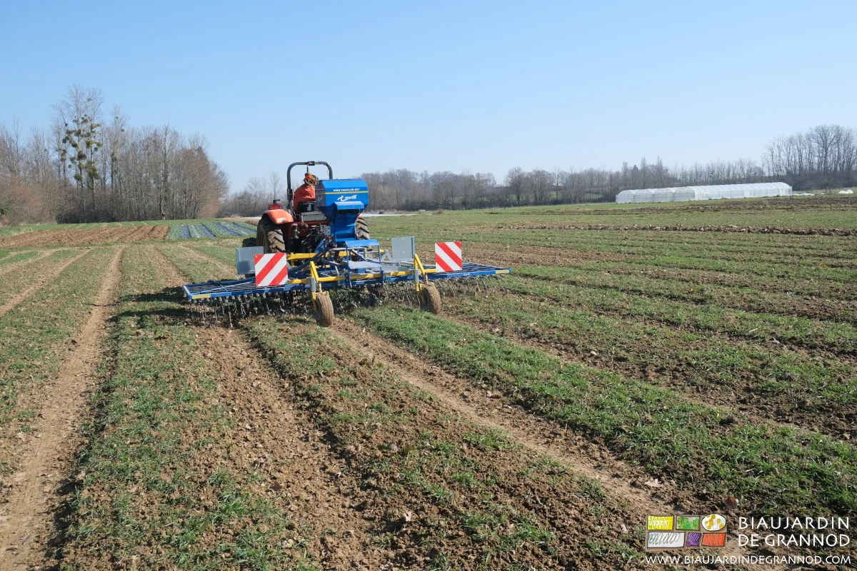 photo du hersage de 3 planches avec l'étrille
