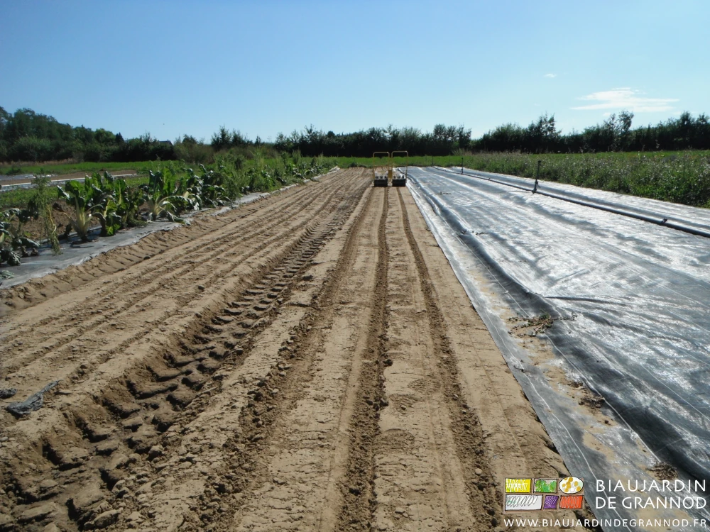 photo de semis de betterave en 3 rangs au semoir jaune sous ciel bleu