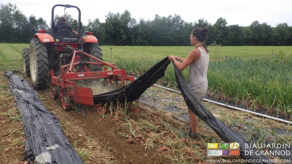 photo du film noir soulevé par la machine et immédiatement repris et secoué manuellement